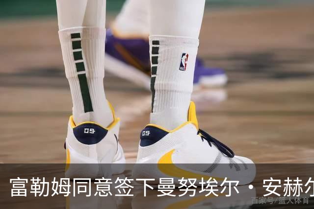 富勒姆同意签下曼努埃尔·安赫尔与雨果·拉尔森，中场重建逐步成形