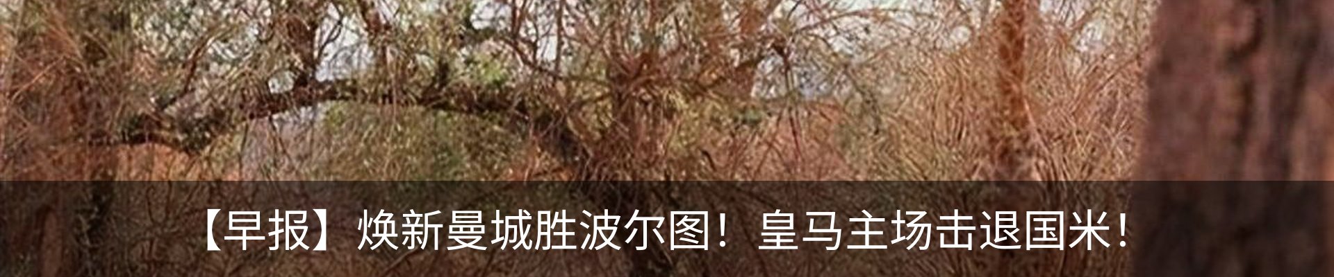 行业资讯