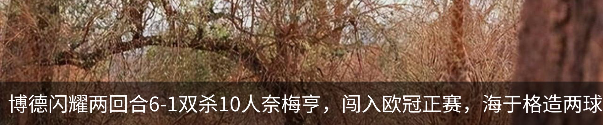 行业资讯